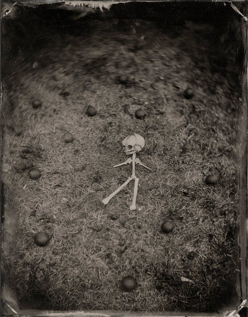 BABY-SKULL-6.jpg