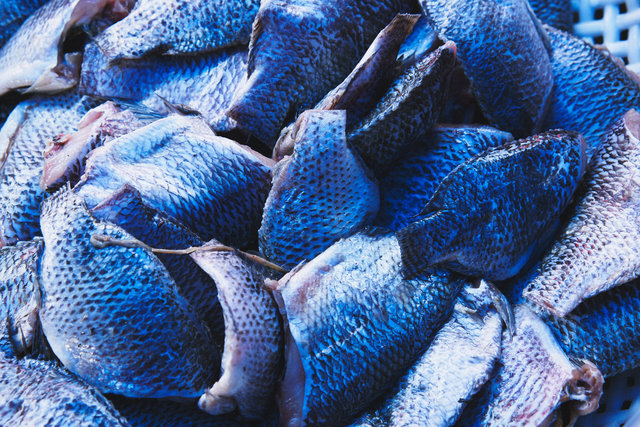 2019_BM_Kiln_Bangkok-0127.jpg