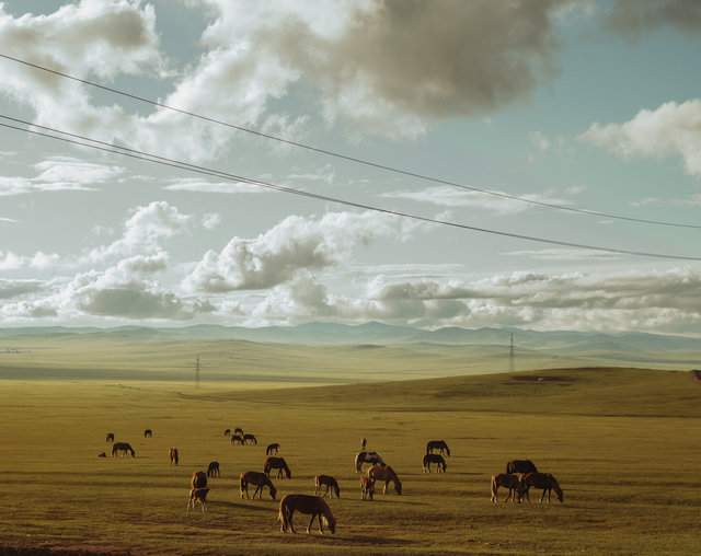 2023_BM_Mongolia-2148.jpg