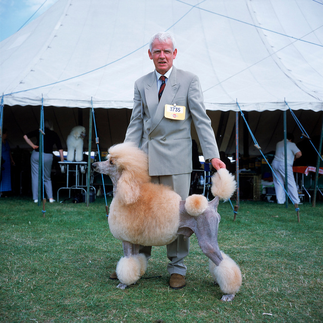 Hondenshow in Leeds, Engeland