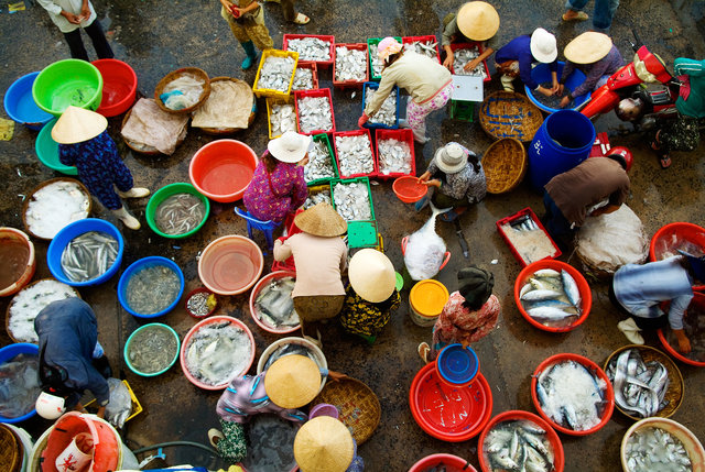 Nha Trang Fish Market I