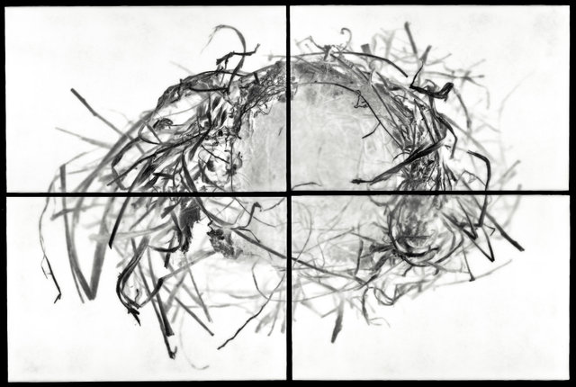 Nest VIII
