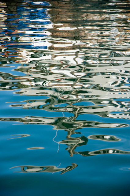 DSC_1596ae6.jpg