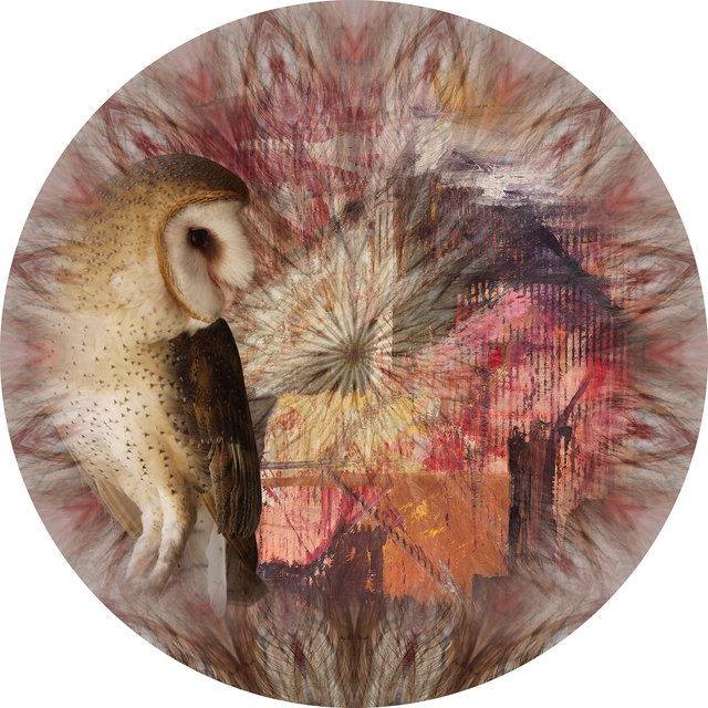Circle 02 (Owl In Eden)