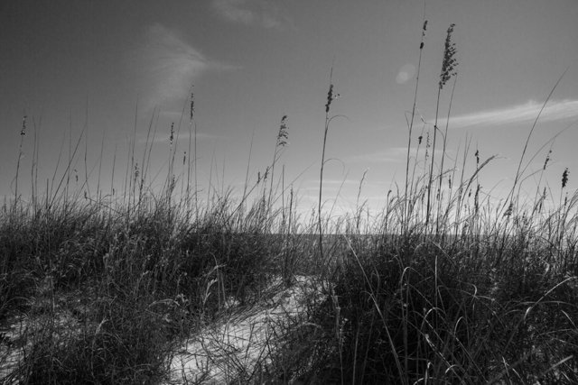 f5b09455c64cb875c9ebf288853ce663-2240jpg.jpg