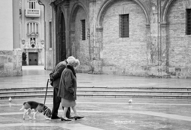 juntos - together - samen