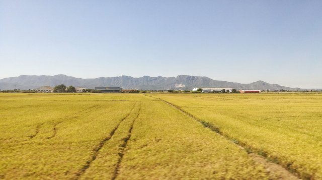IMG_20170914_122135-01.jpeg