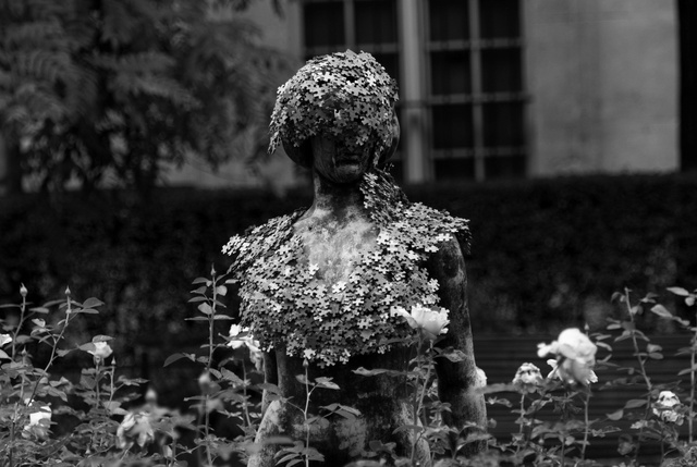 Jigsaw Lady