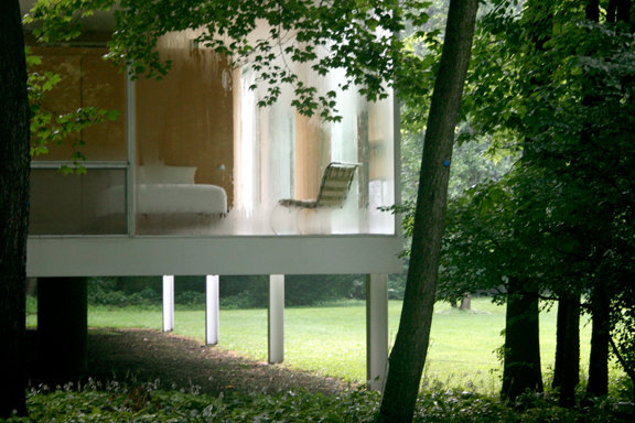 Mies Among the Trees