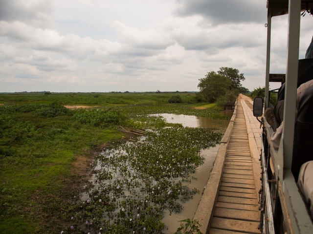 View from wooden bridge on Transpantaneira Road