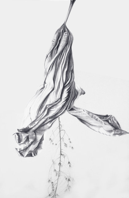Hibiscus Entwined