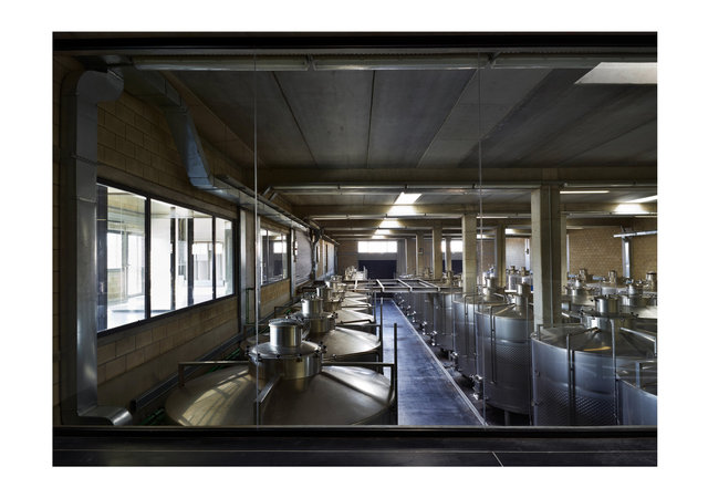 Ixsir Winery