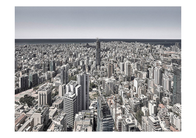 Urban Jungle