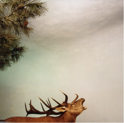 Untitled 85-3 © Paul den Hollander