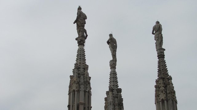 IMG_1773.jpeg