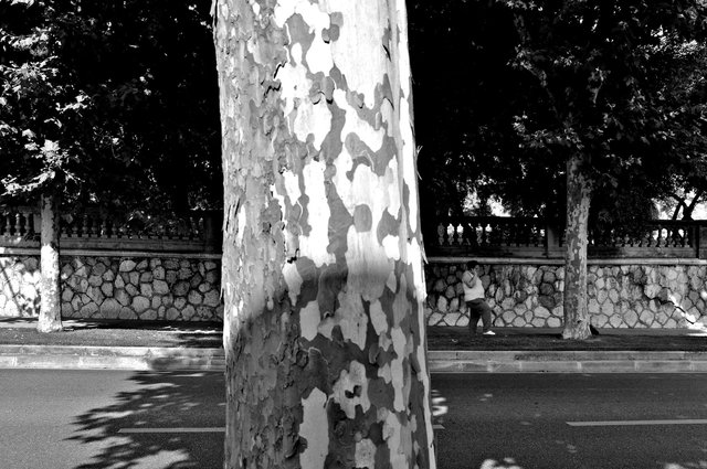 _E306546 - Version 3.jpg