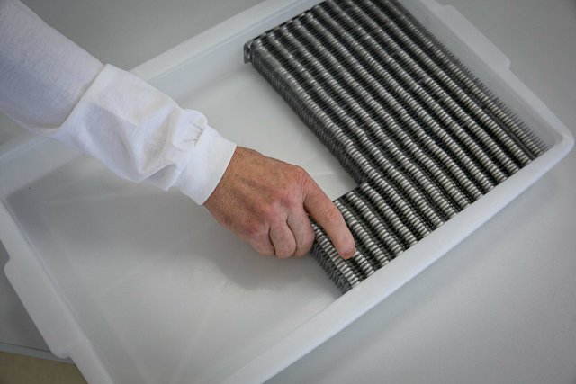 BCI_SM_090.jpg