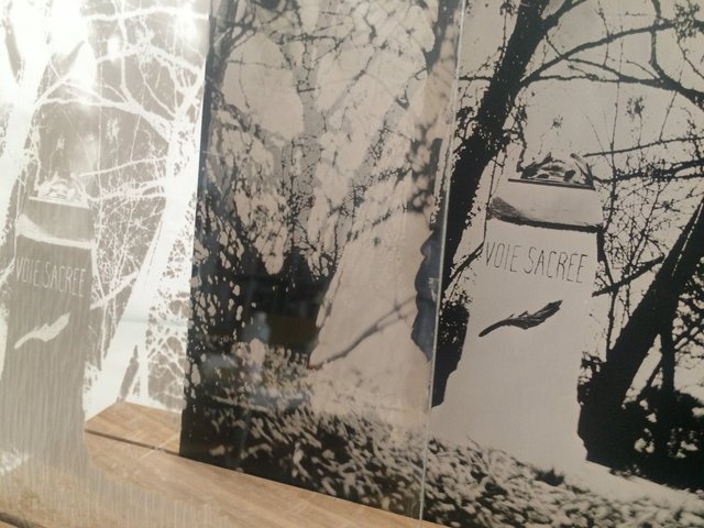 Installation-VERDUN IN MEMORIAM-collodion-005.JPG