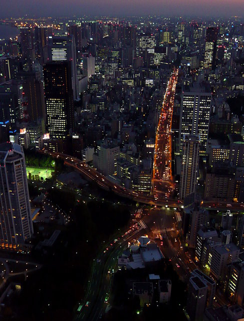 Views From The Tokyo Tower (36) VB.JPG