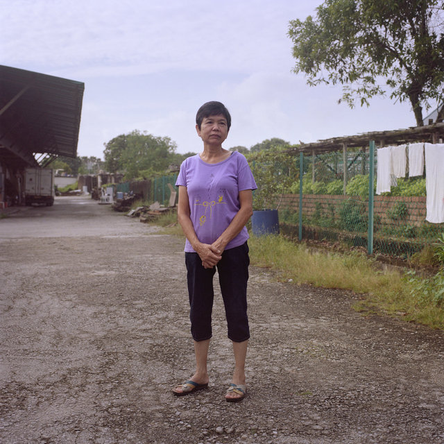 We Were Farmers_05.jpg