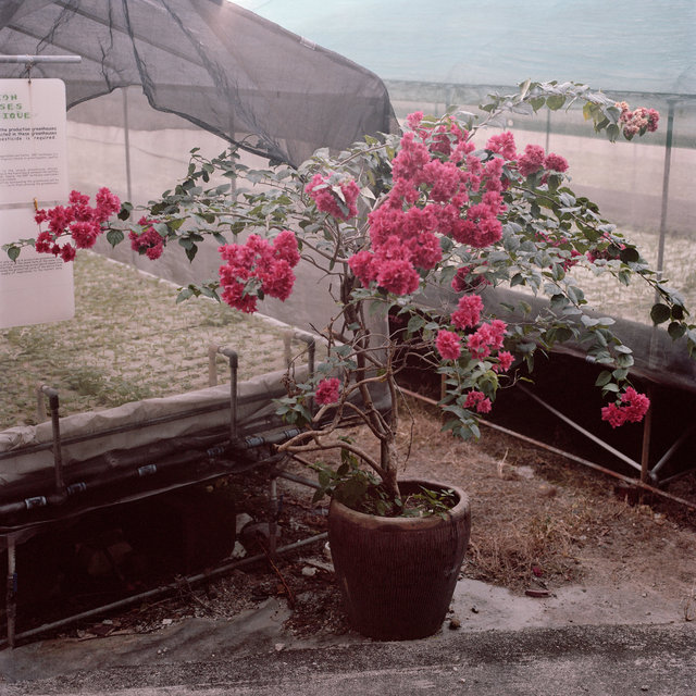 We Were Farmers_07.jpg