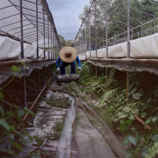 We Were Farmers_12.jpg