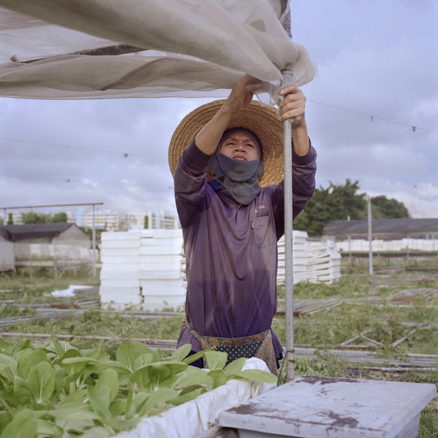 We Were Farmers_02.jpg