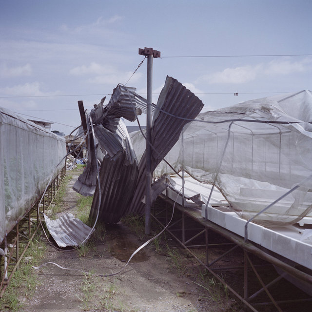 We Were Farmers_10.jpg