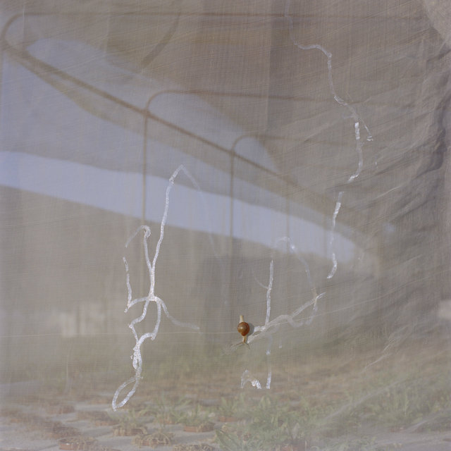 We Were Farmers_01.jpg