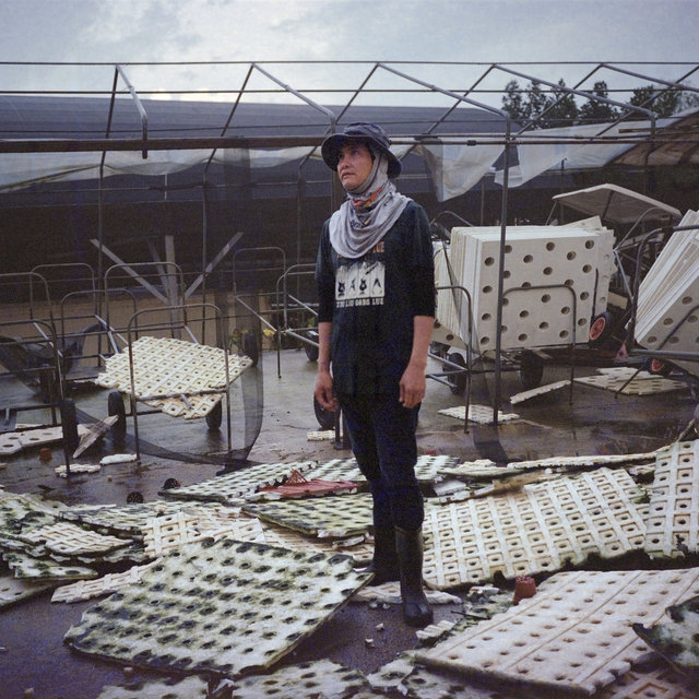 We Were Farmers_09.jpg