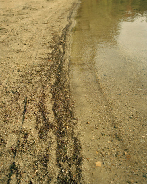 Walden Pond, Concord, MA, 2015