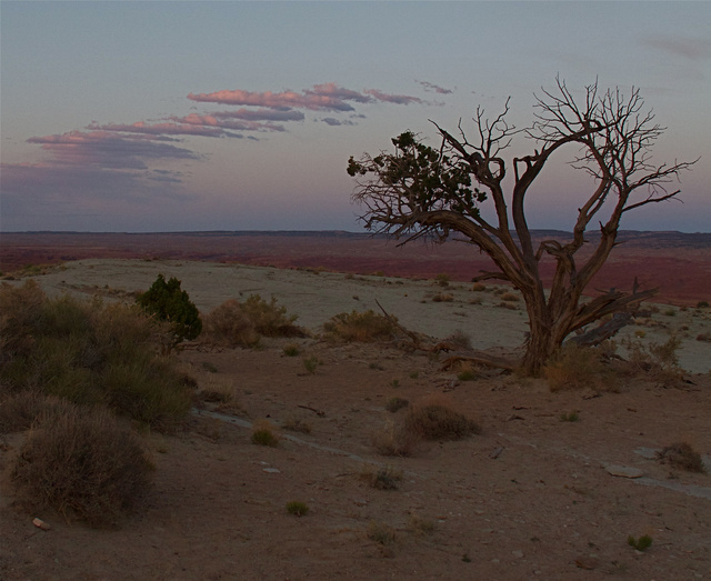 Utah Landscape