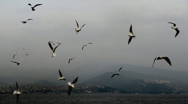 izmir, turkey