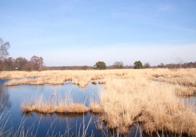 Afgegraven Hoogveen