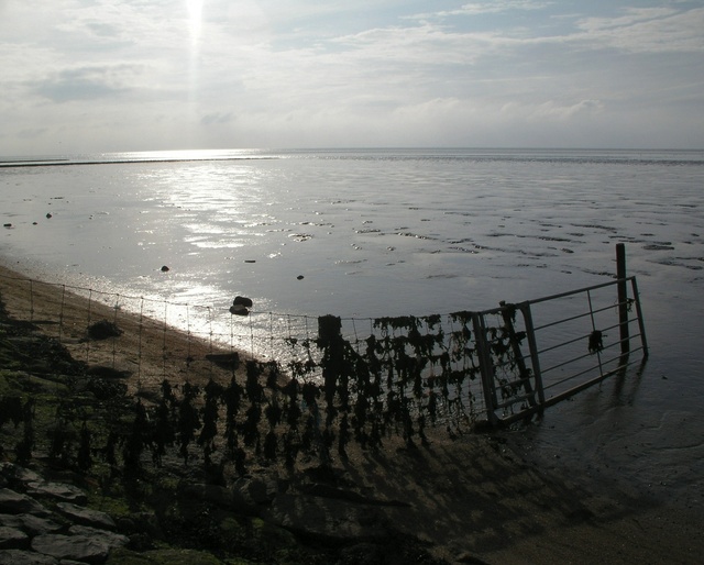 Waddenzee