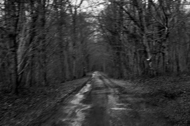 VERDUN-021.jpg