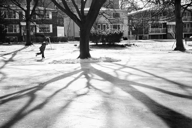 Love Crescent Rink