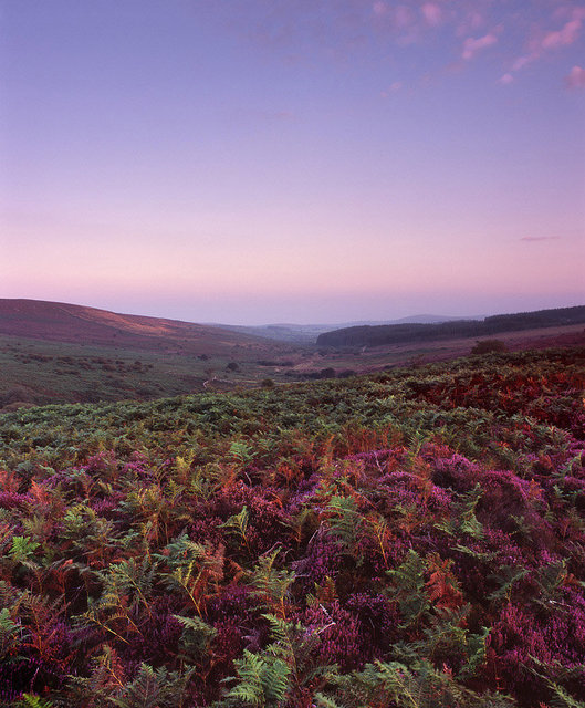 Near Bennetts Cross