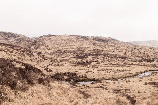 Beyond The Pines | Series of 8 images | 2014