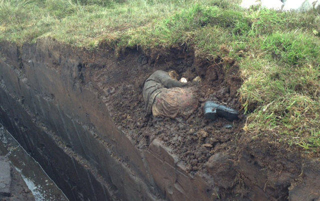 Peat moor