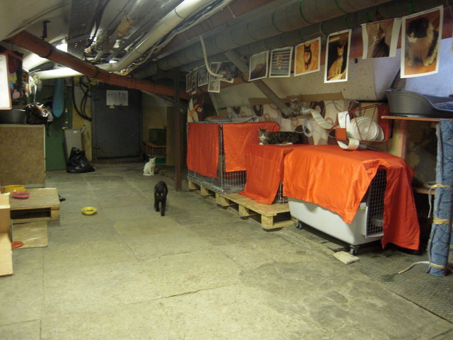 DSCN5955.JPG