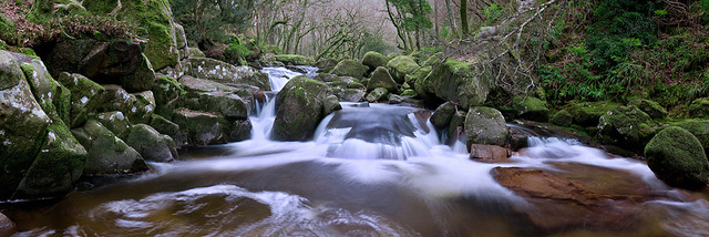 River Plym