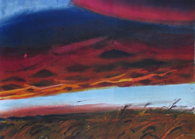 Illinois Sunset- Magenta   22 x 29"