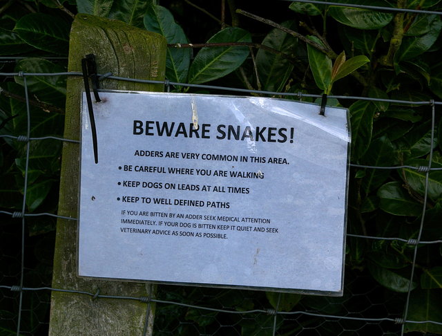 Beware snakes VB.JPG