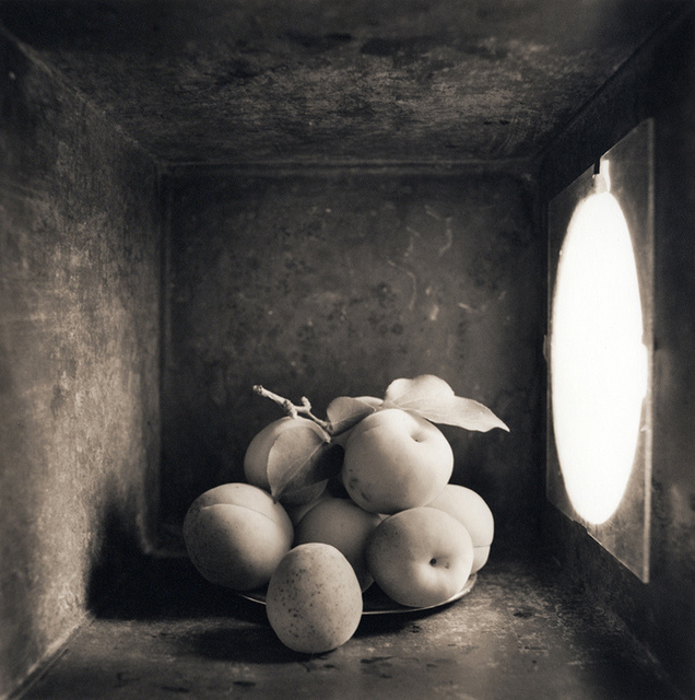 Apricots, c 2000