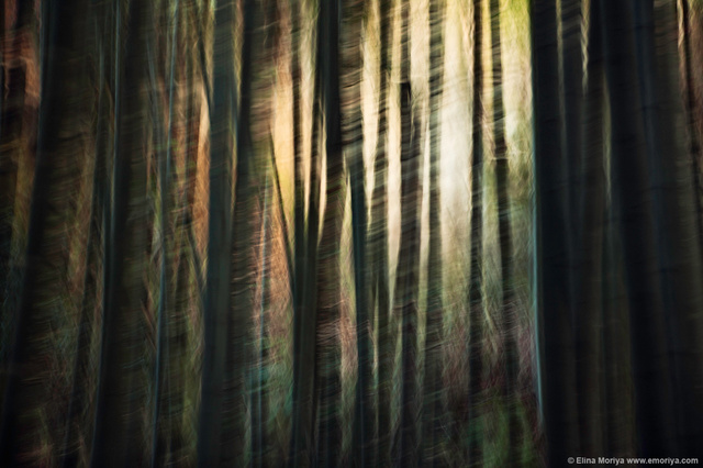 emoriya_homelandscape_web_Endless_encounters_with_arising_thoughts.jpg