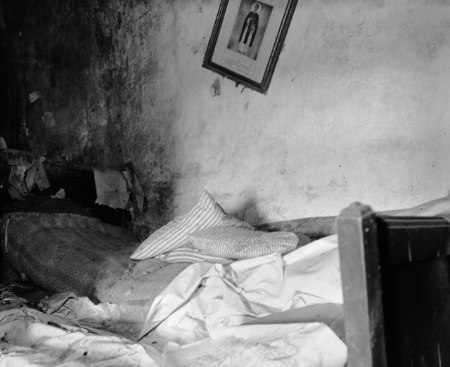 Bed of Straw.jpg