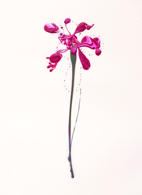 Flora XXII