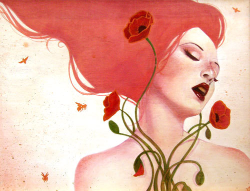 Poppy Dreams / 2007