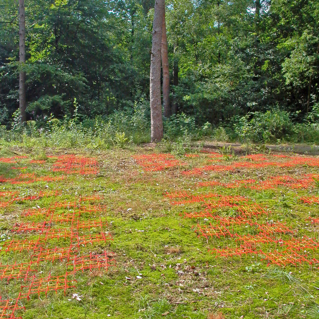 bloemenzeeoverzichtgedeelte.jpg